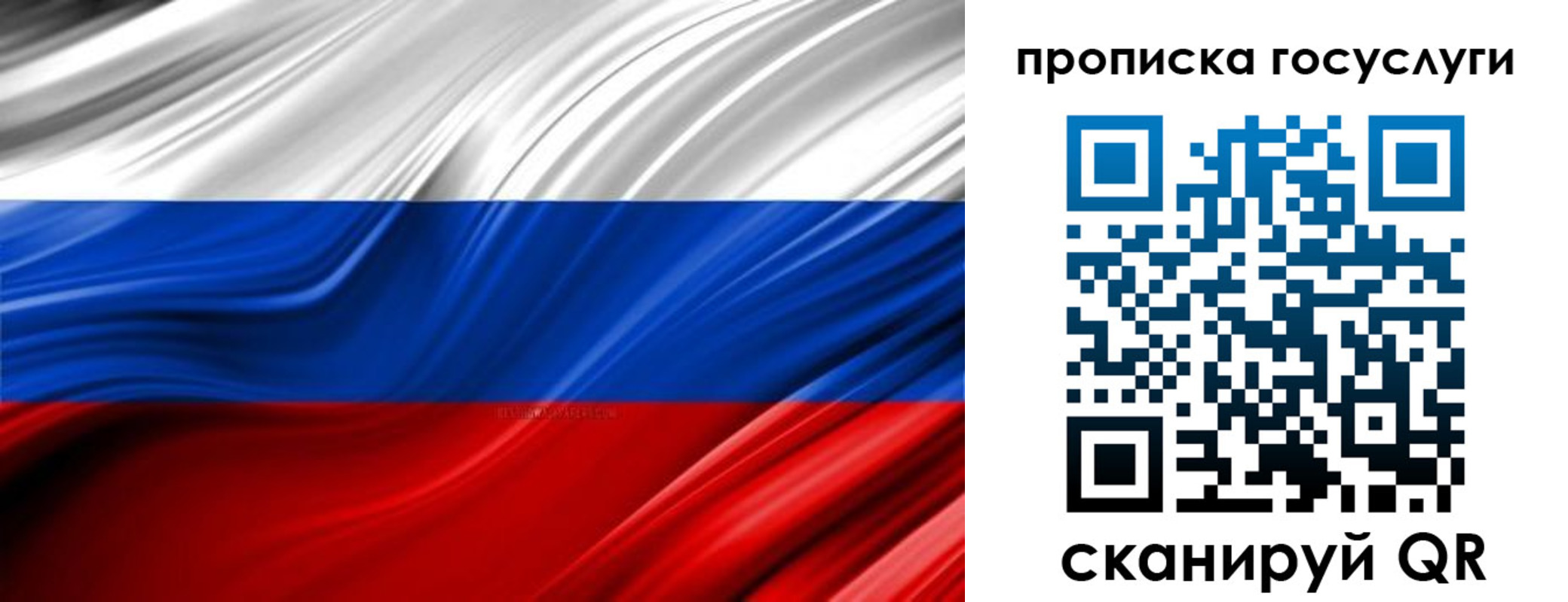 прописка паспорт в Московской области